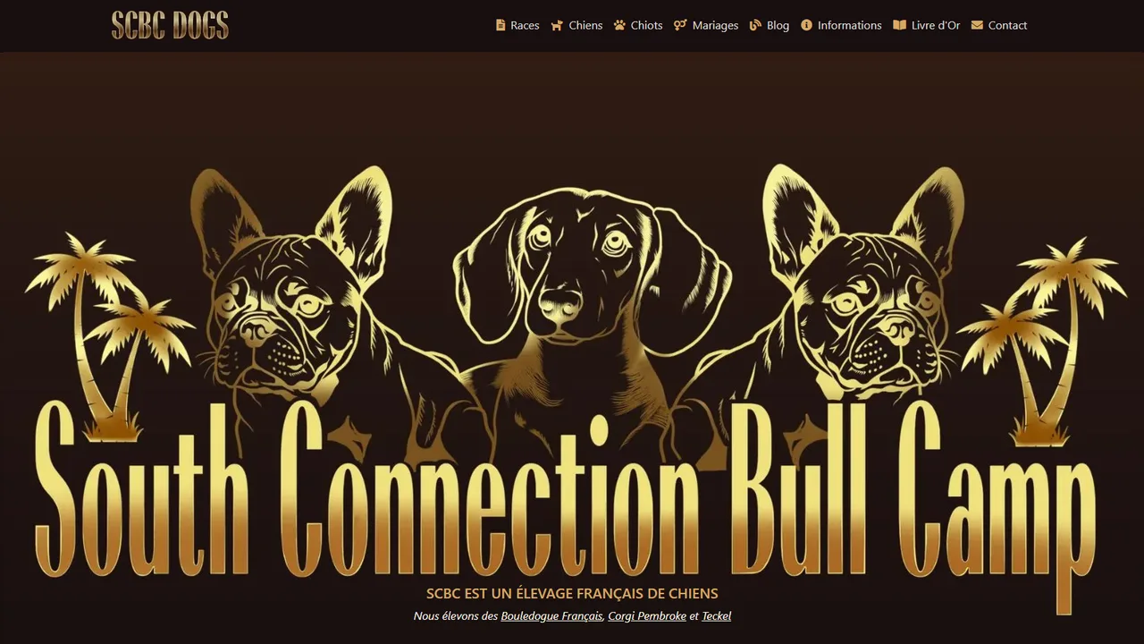 Page blog du site SCBC Dogs — élevage South Connection Bull Camp, Bouledogue Français, Corgi Pembroke et Teckel